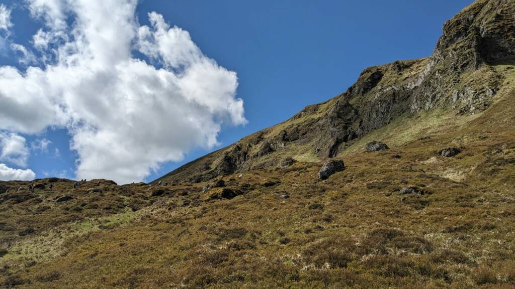 IMG-20240519-WA0041