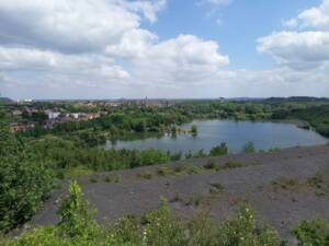 IMG-20250517-WA0045