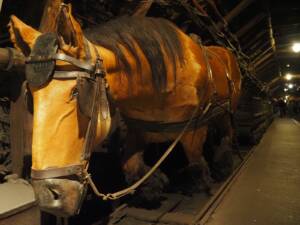 IMG-20250518-WA0210